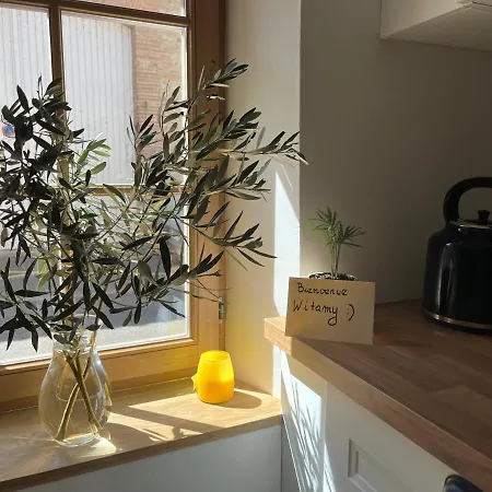 Centre-ville Apartment Merville (Haute-Garonne)